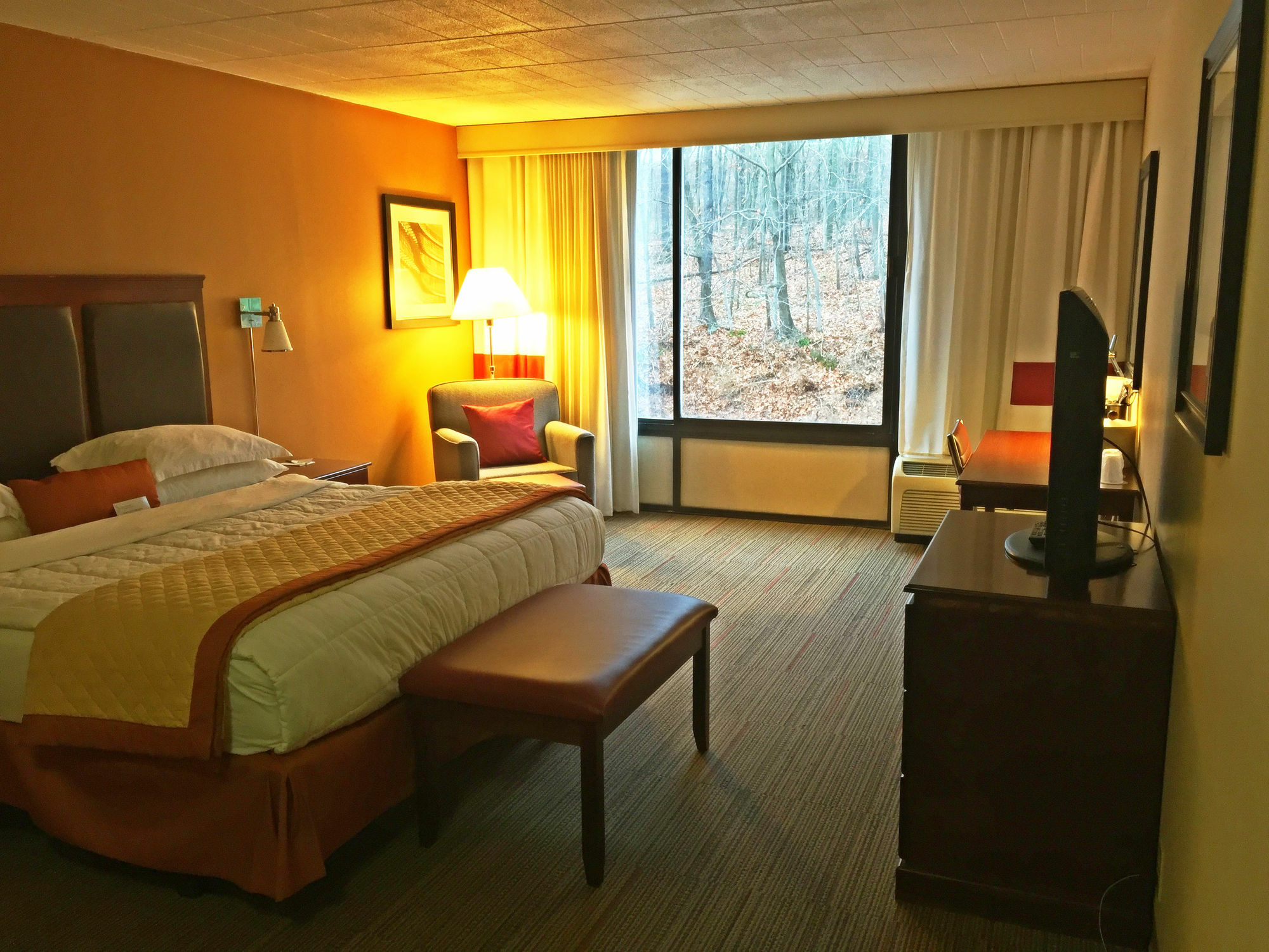 Wyndham Garden Inn Pittsburgh Airport Robinson Township Εξωτερικό φωτογραφία